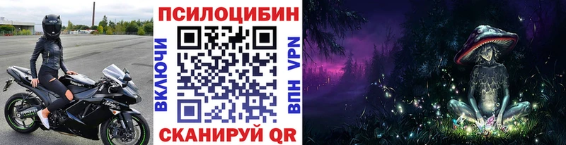 Купить где  Городец  Псилоцибиновые грибы MAGIC MUSHROOMS 