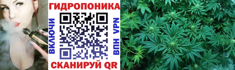 Бошки Шишки ГИДРОПОН  Купить где  Городец 